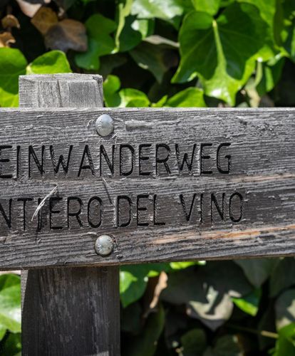Weinwanderweg